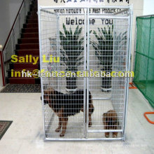 Cage de chien galvanisée